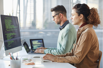 Custom Web Development